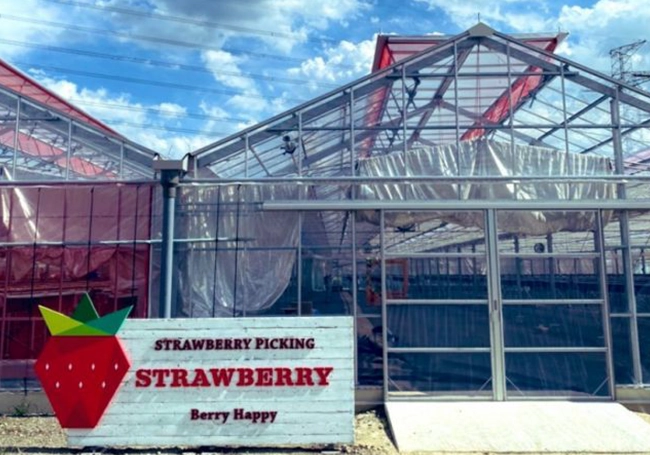 Berry Happy 千葉県野田市のいちご農園ベリーハッピー